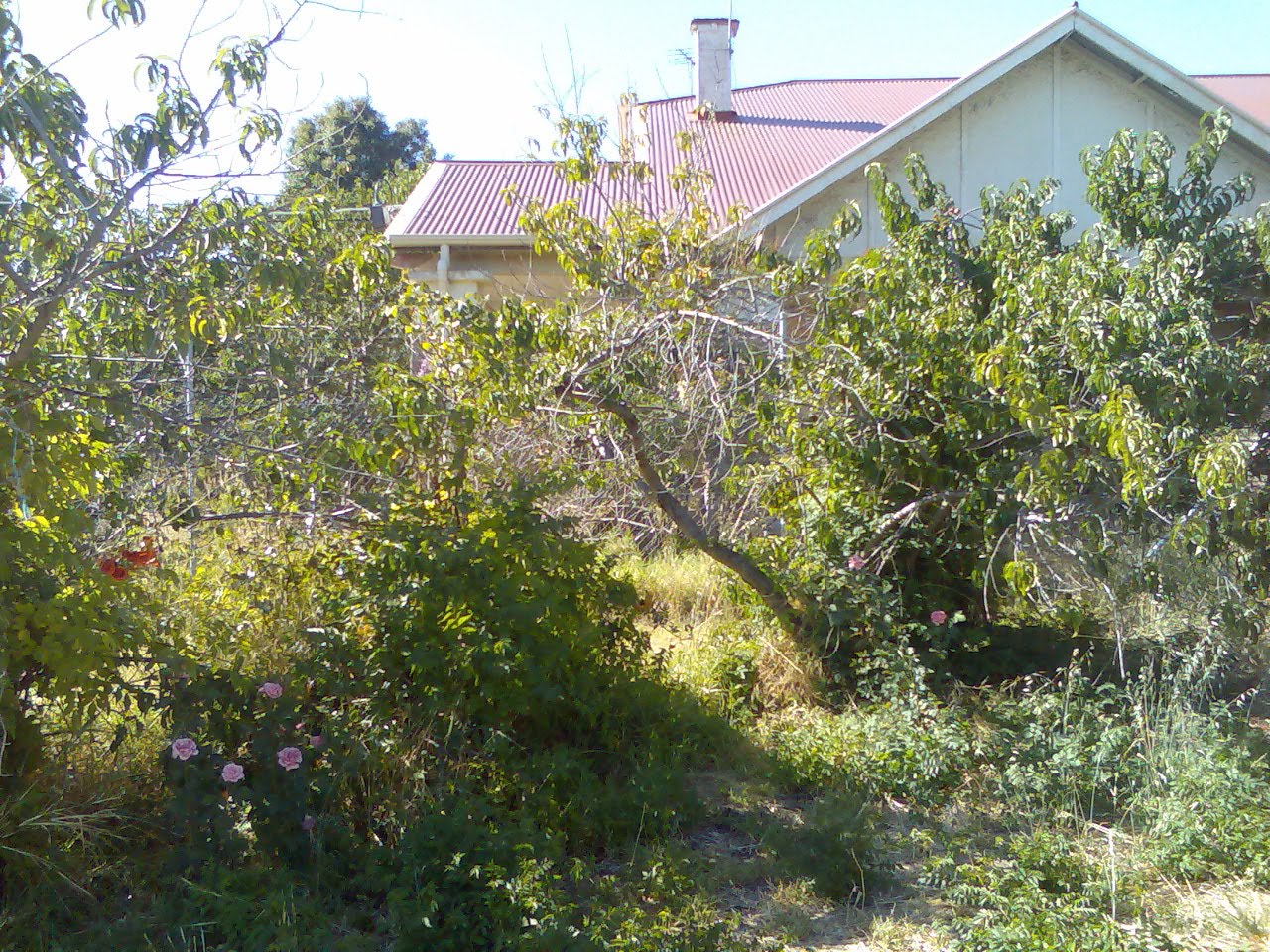 [Image022.jpg]