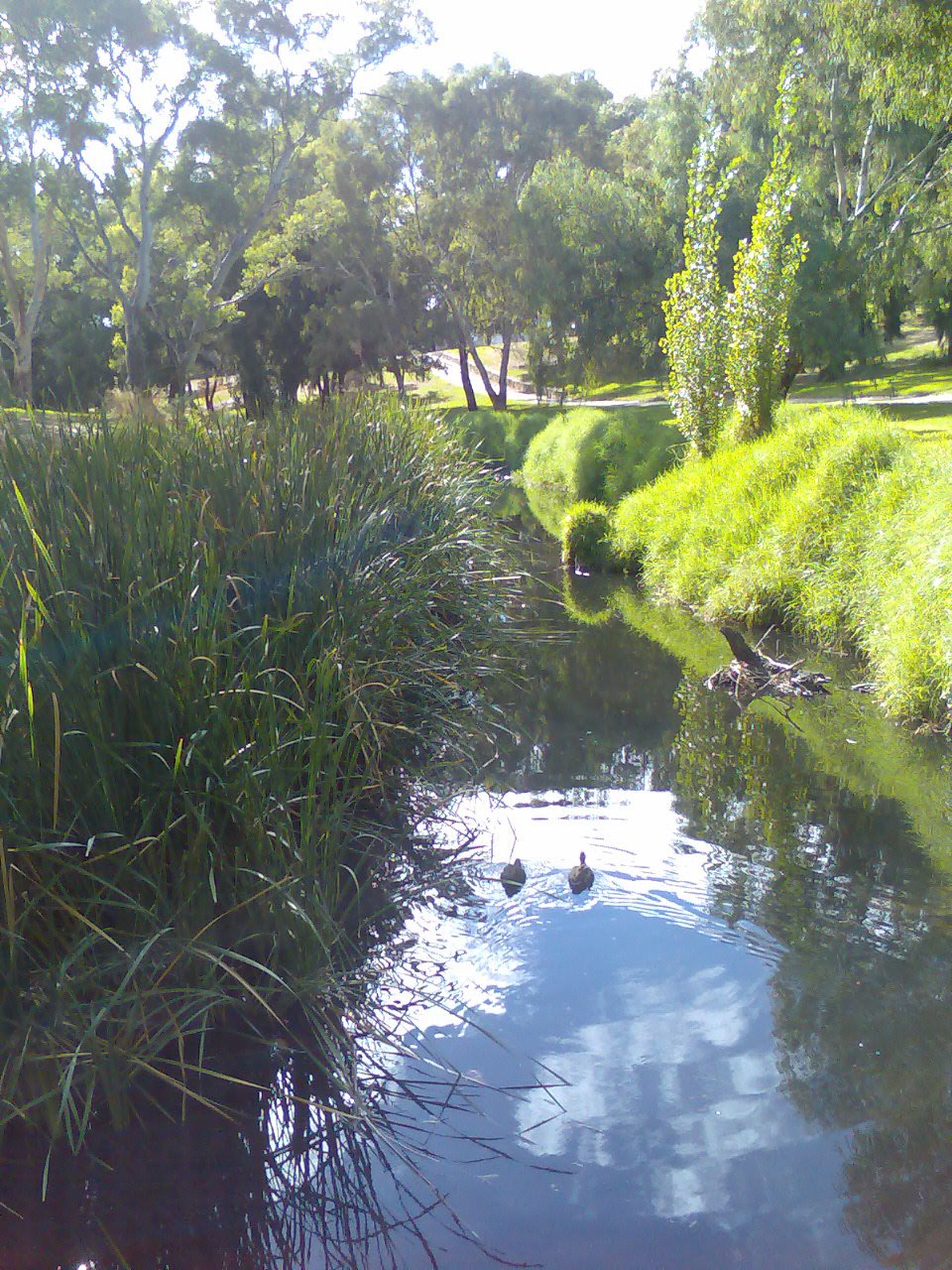 [Image023.jpg]