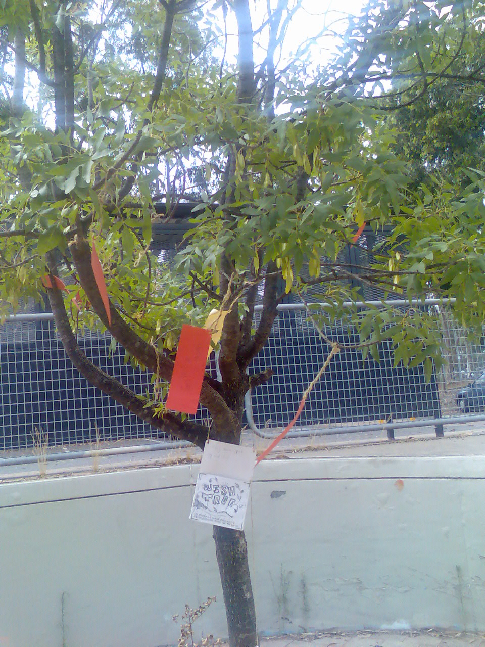 [Image001.jpg]