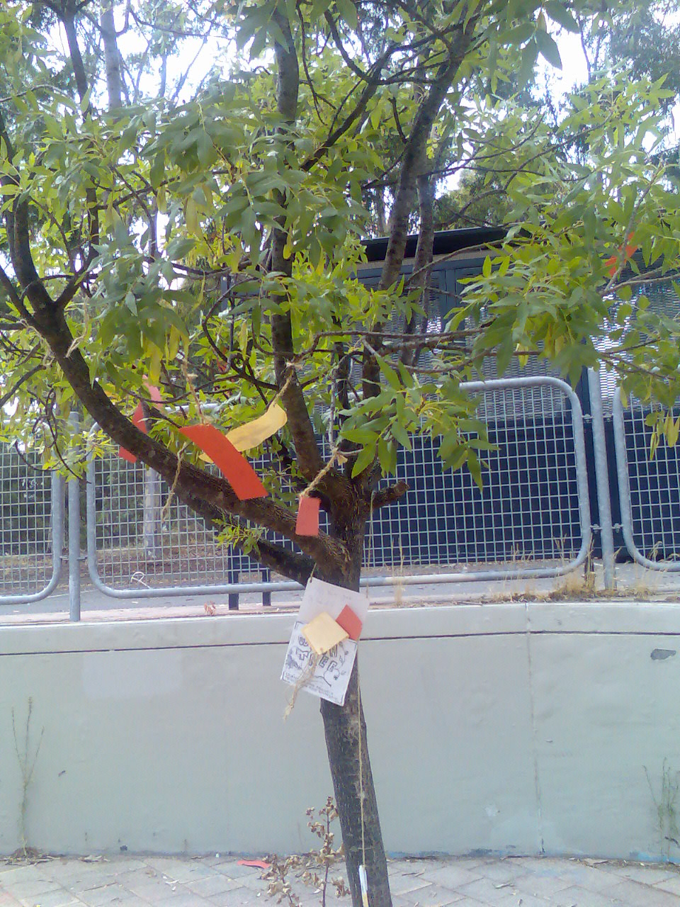 [Image002.jpg]