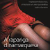 "A rapariga dinamarquesa" de David Ebershoff