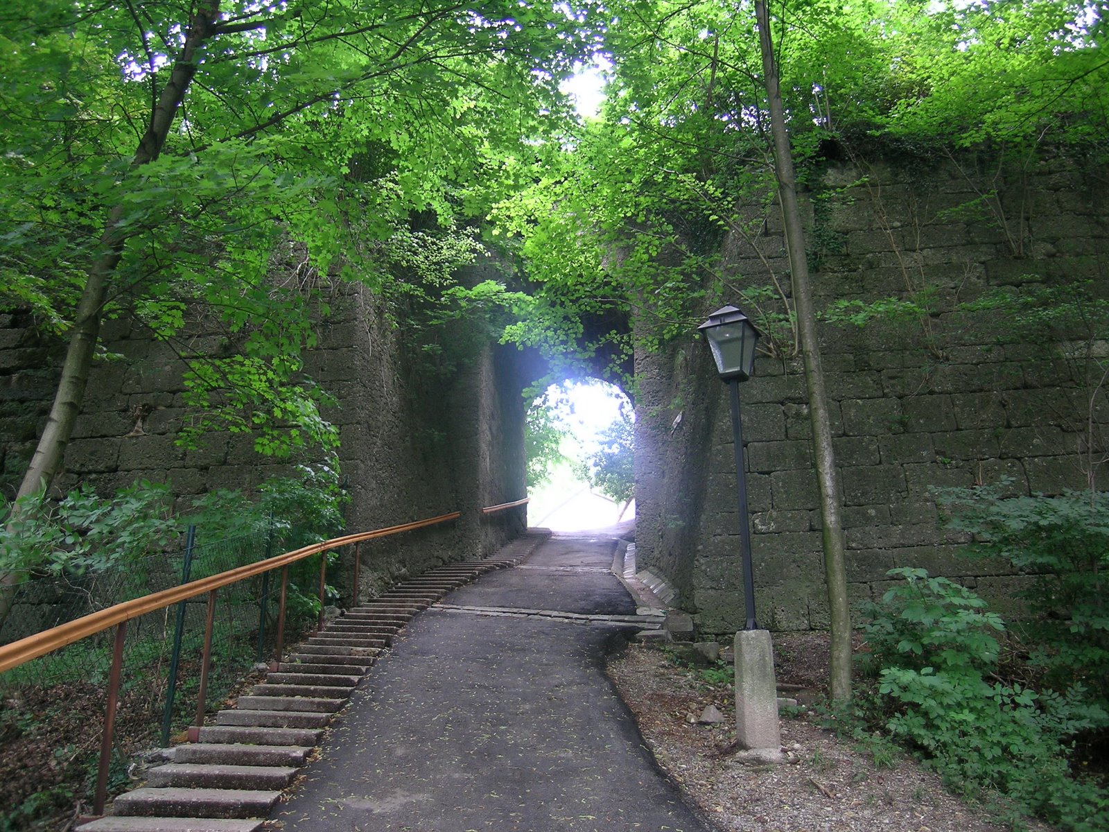 [DSCN0869.JPG]