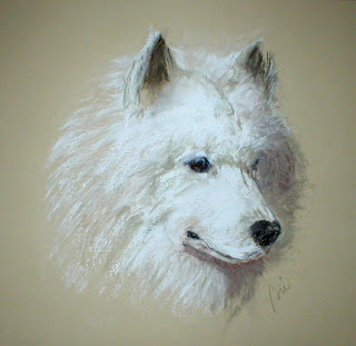 Arctic Serenity - Samoyed By Cori Solomon