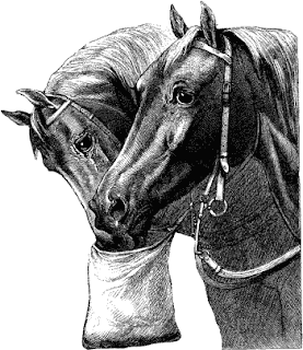 free vintage horse clip art