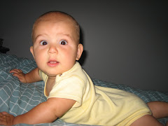 Learning to Crawl