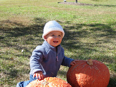 The "Great" Pumpkin Patch
