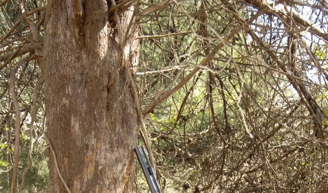 Pursuit Hunting Signpost Rubs