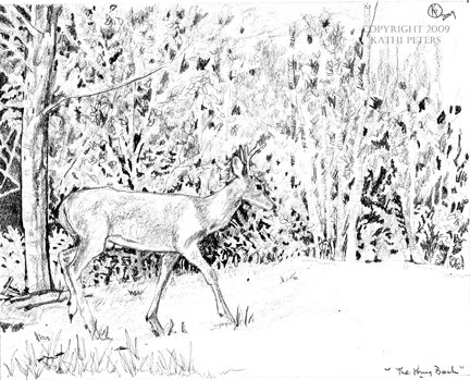 [The+Young+Buck-8+x+10-graphite+study+copy.jpg]