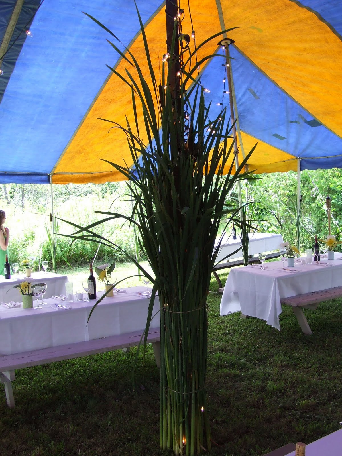 [DSCF6696.JPG]