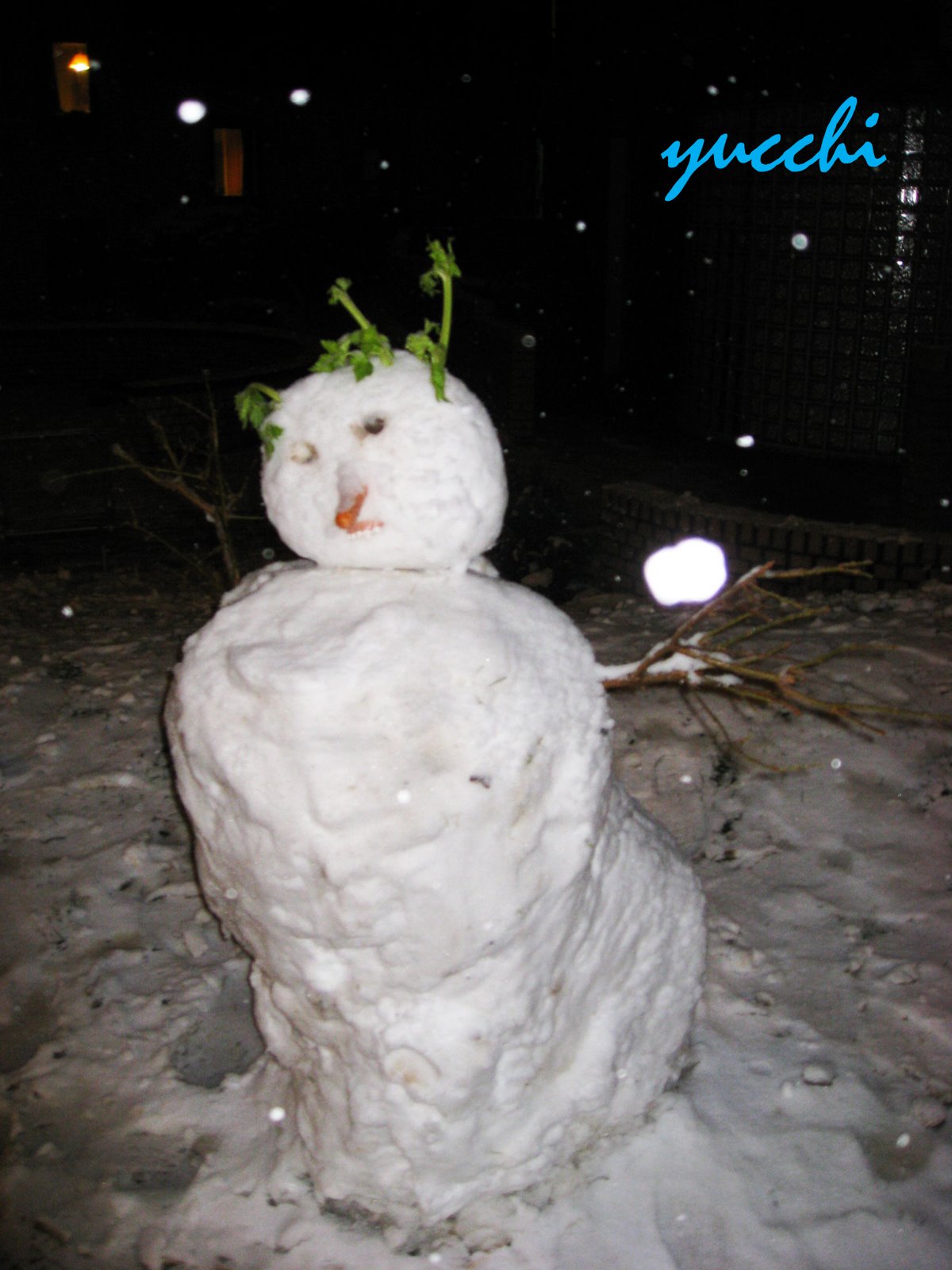 [IMG_1671.jpg]