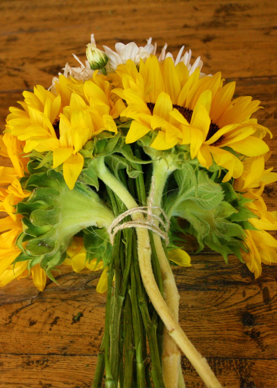Sunshiny Sunflowers a floral bouquet spider flower