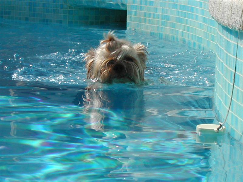 [DSCN4359+(Medium).JPG]