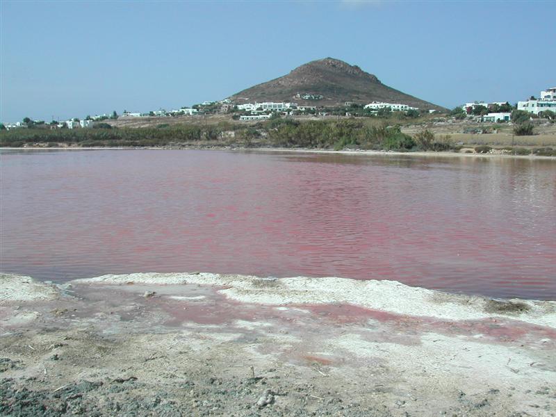 [Naxos_DSCN4566_AgiosProcopios+(Medium).JPG]