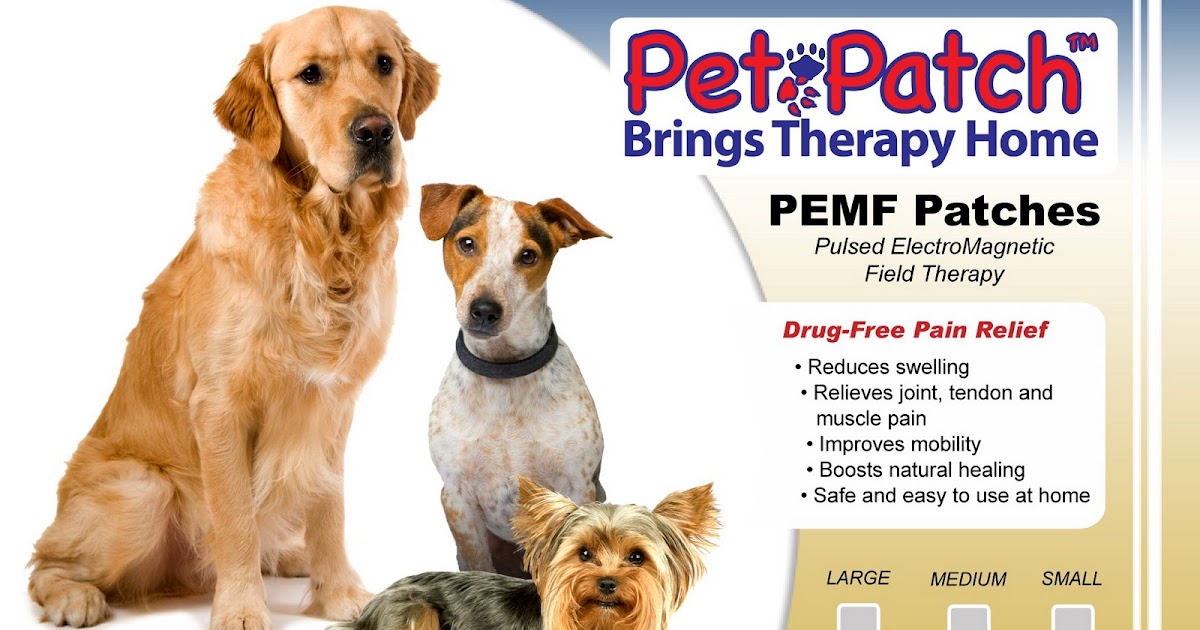 Product Review HealFast Pulsed Field (PEMF) Patch