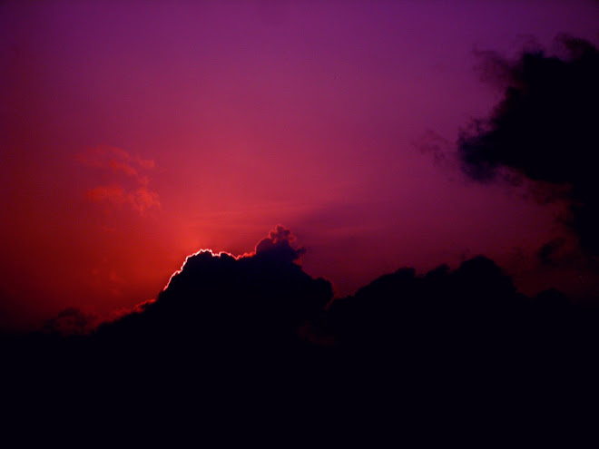 S8-