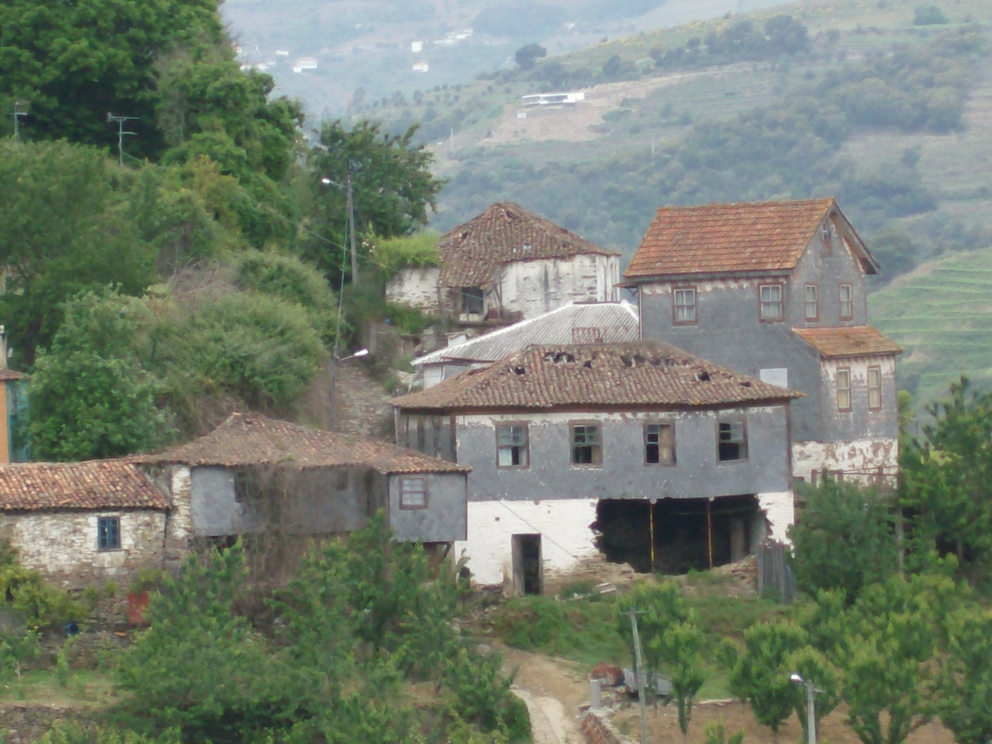 [HPIM1542.JPG]