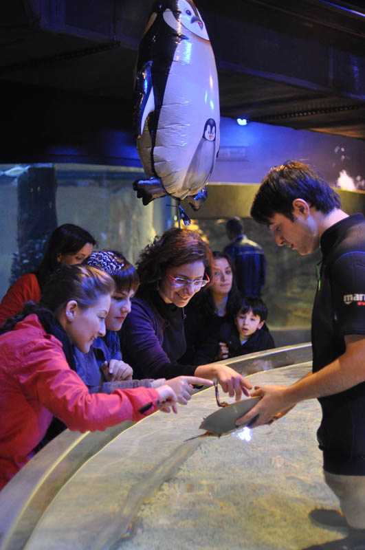 [DSC_6697_k.jpg]