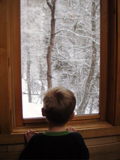 [Library+-+0082.jpg]