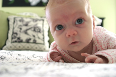 [Library+-+0008.jpg]