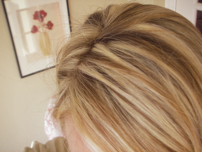 [Library+-+0001.jpg]