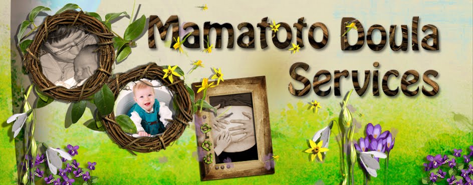 Mamatoto Doula Services