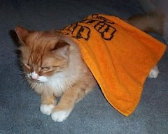 Terrible Towel Cat