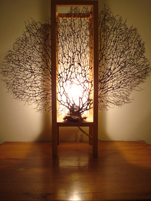 [DSC00069.JPG]
