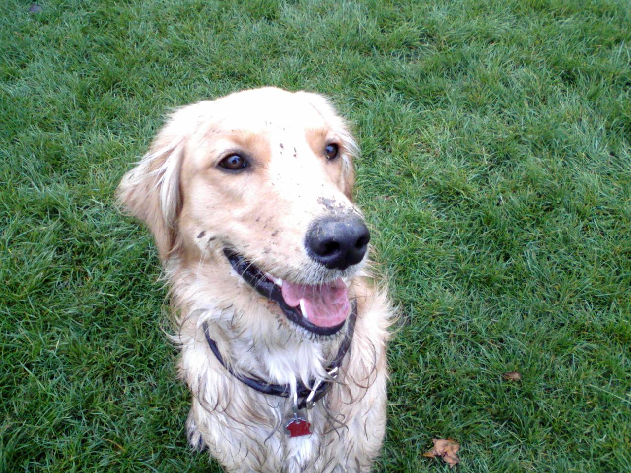 作業療法ルネッサンス ひとと生活障害 理学療法学科 偏差値