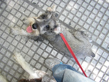 arturo