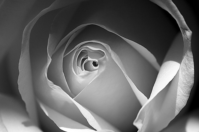 Siyah2BBeyaz2BGC3BCl2BResimi