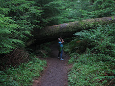 Cleaning Up the Forests - Canon Beach, OR