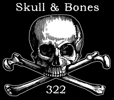 bones of skull. Skull and Bones,