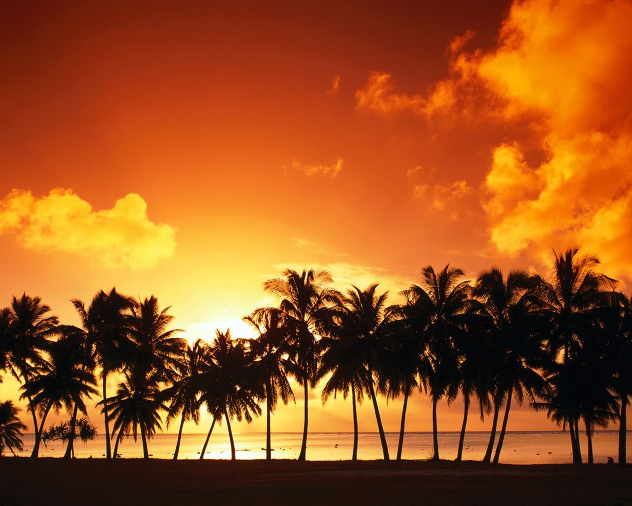 wallpaper: wallpaper paisajes | atardecer en la playa