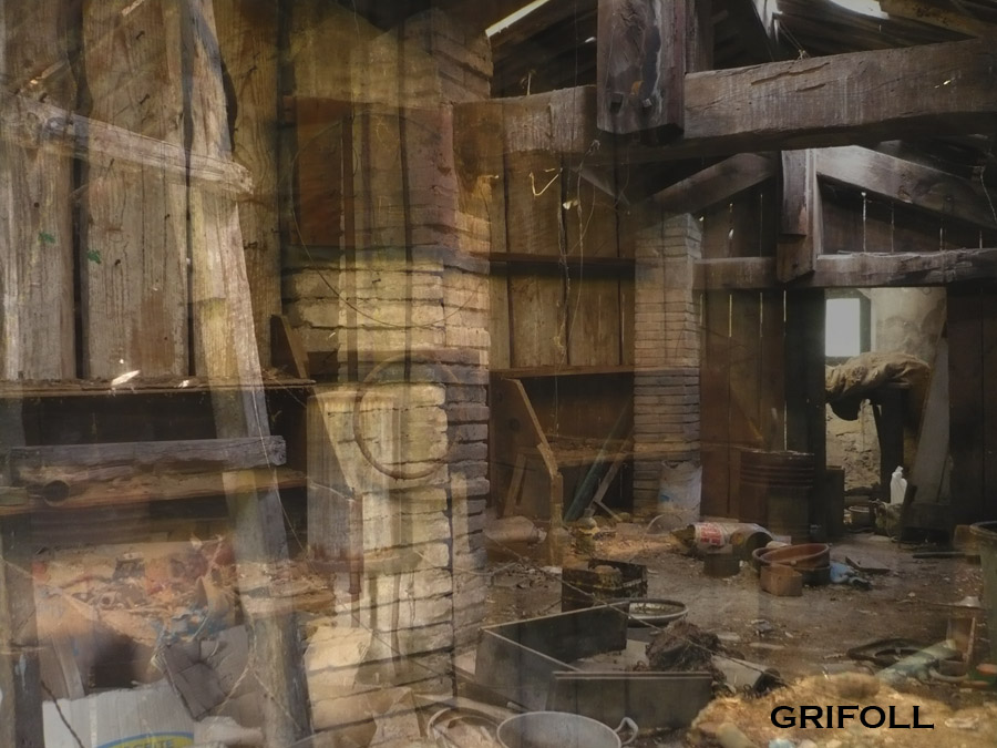 [Morph+Image.jpg]
