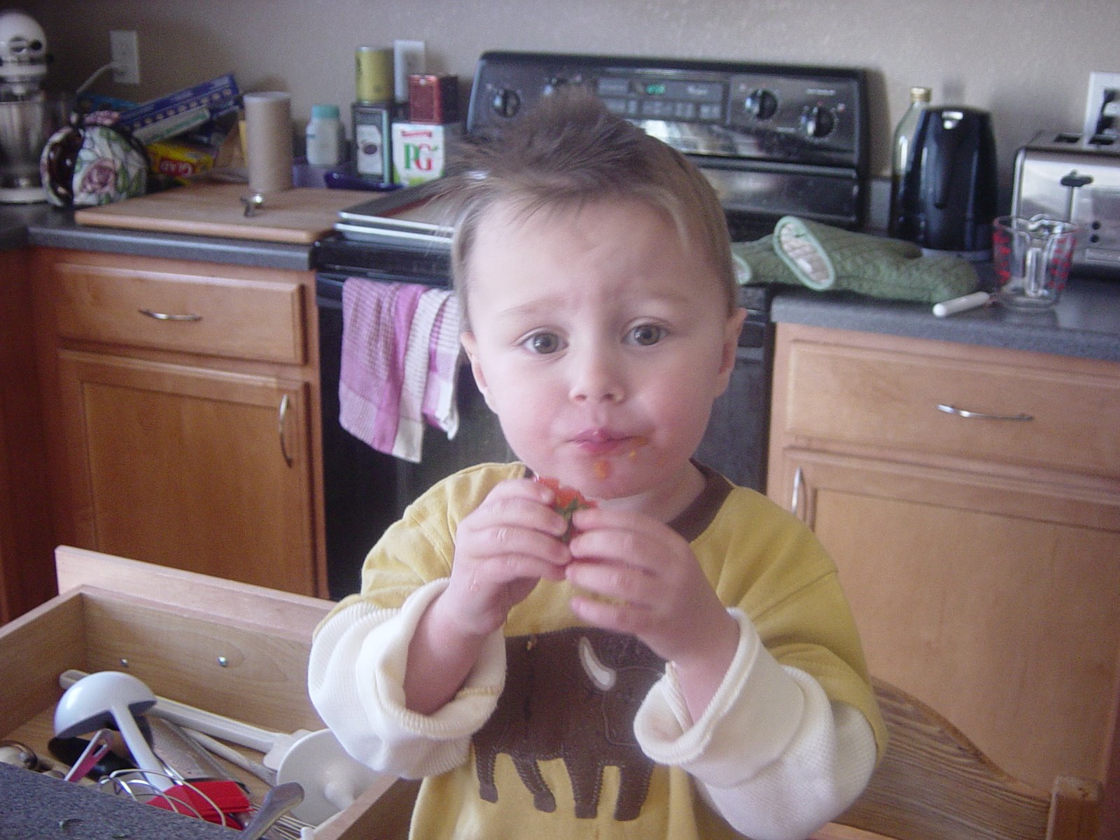 [DSC00012_1.JPG]