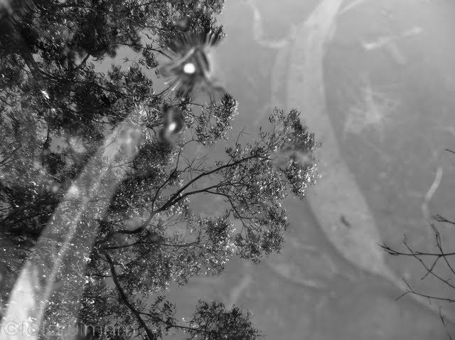 Reflexos e reflexões