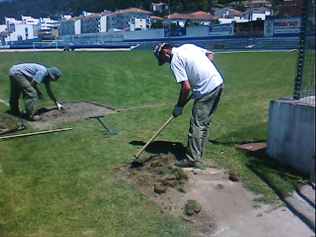 [campo_20.JPG]