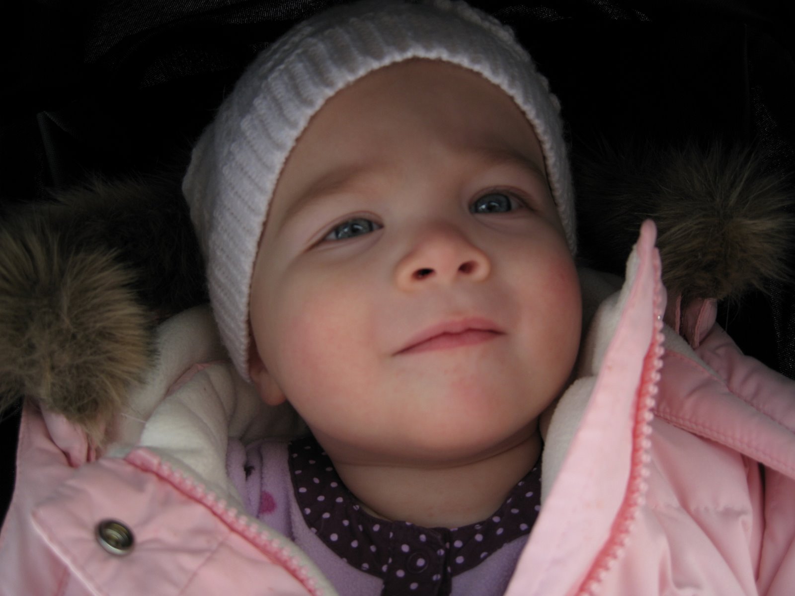 [IMG_3894.JPG]