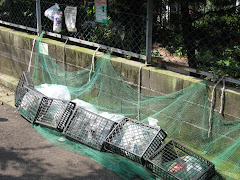 Garbage Day in Yamate -Cho