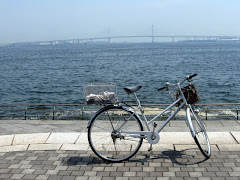 Rinko Park view across Port of Yokohama