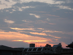 Sunsetting over Negishi as we walk
