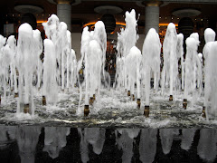 a cool fountain at the lotus building
