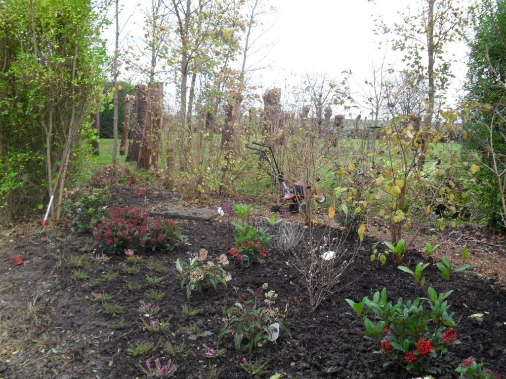 17 Best Bnmc Bioretention Plants Images Plants Planting Flowers