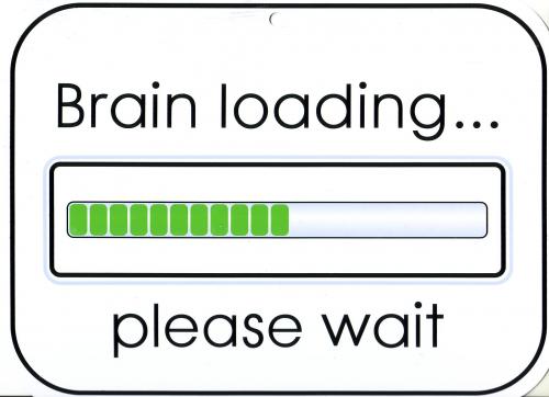 brain_loading_deviant_id_by_silvershadowwolf-d2yegaf.jpg