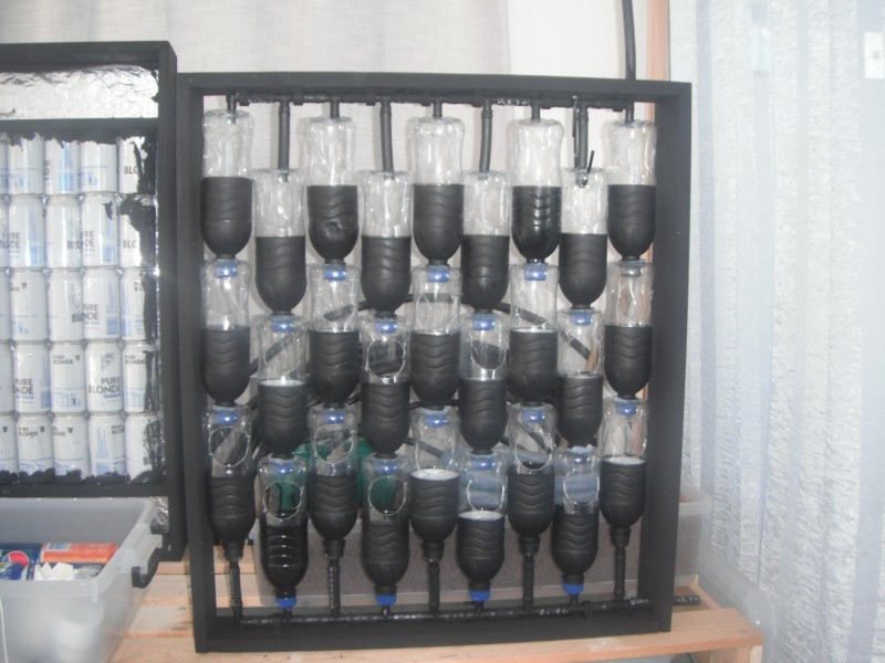 Bottled Garden