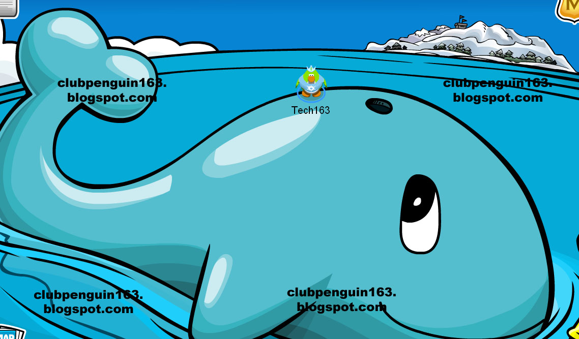 [Whale+2.jpg]