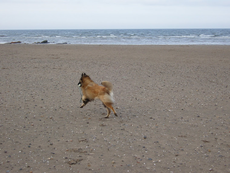 Fun on the beach