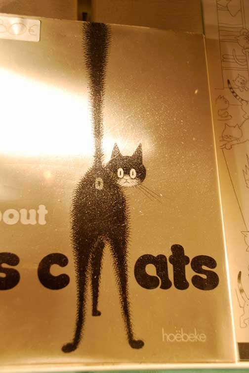 [CATASS.jpg]