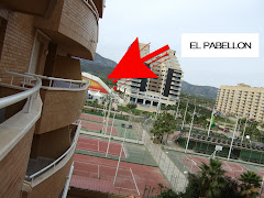 LA CARPA AL LADO DEL APARTAMENTO