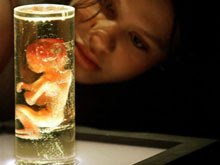 [verlinkte Grafik wurde nicht gefunden]